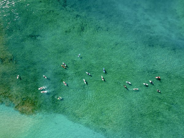 Drone view of kayakers in ocean